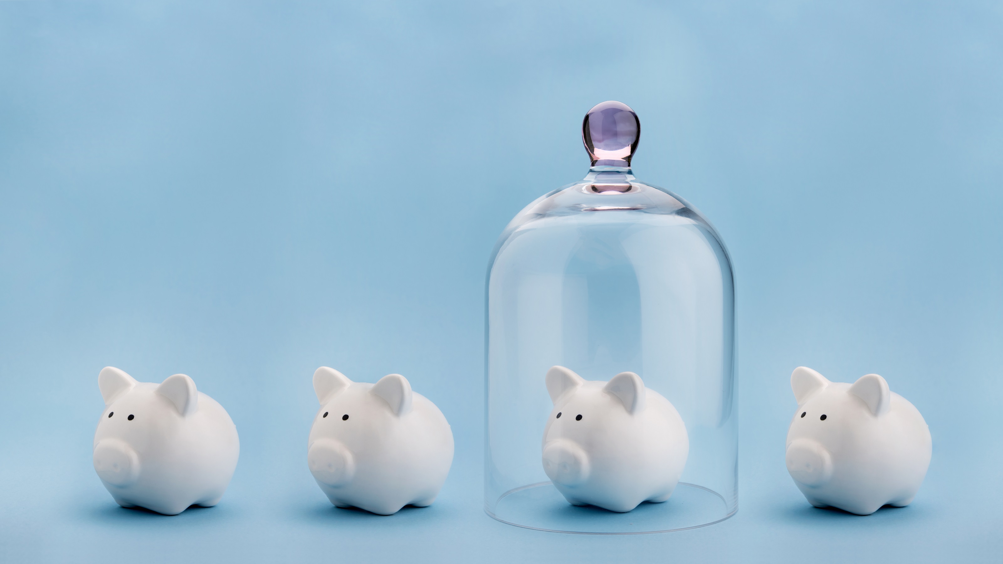 A row of four piggy banks with one specifically protected under a clear glass dome.