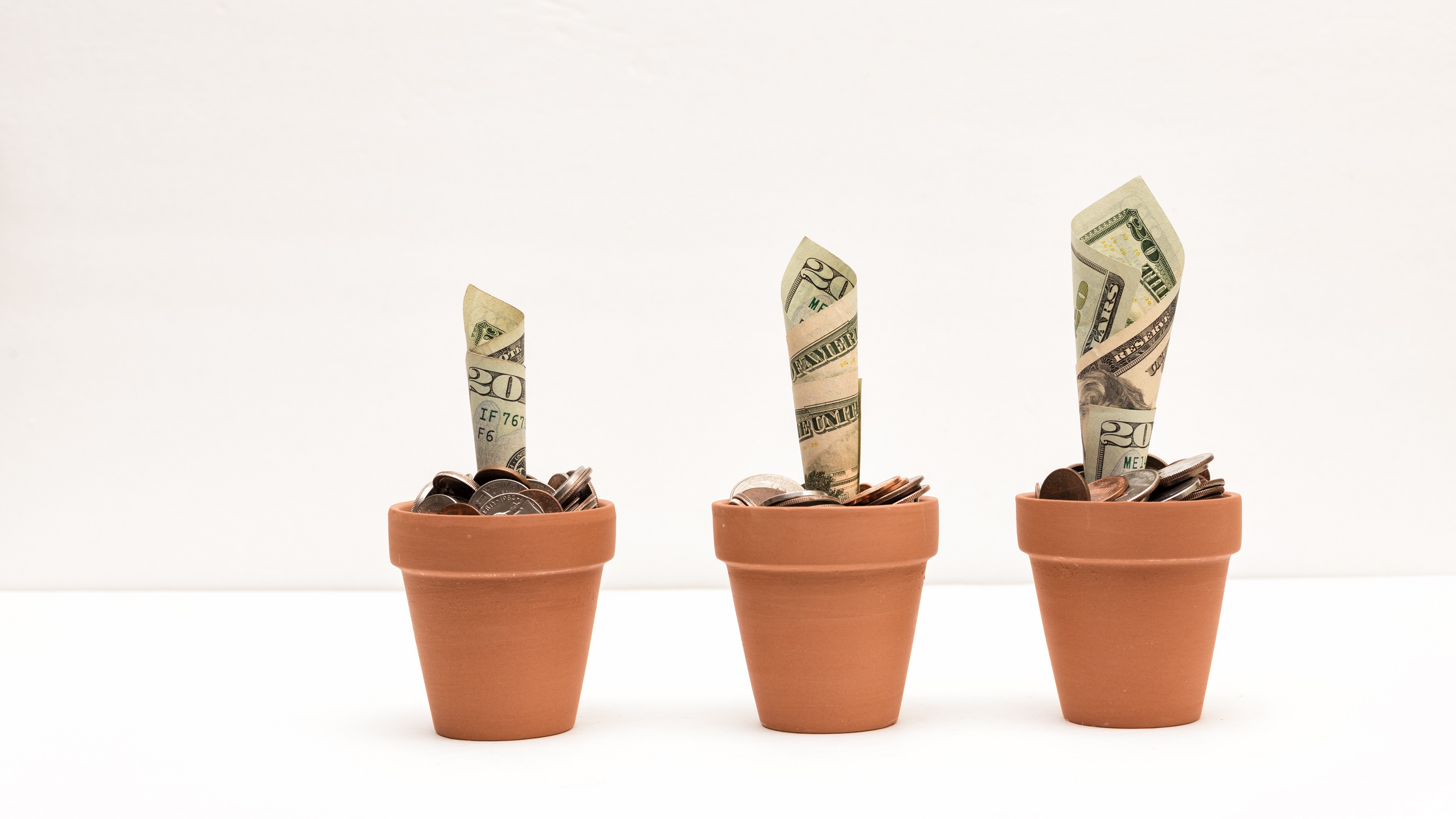 Twenty-dollar bills rolled into pots of coins to represent plants growing.