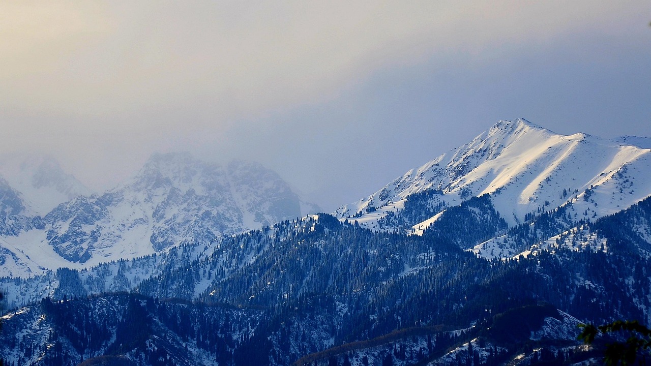 A small snowball growing as it rolls down a snowy hill.