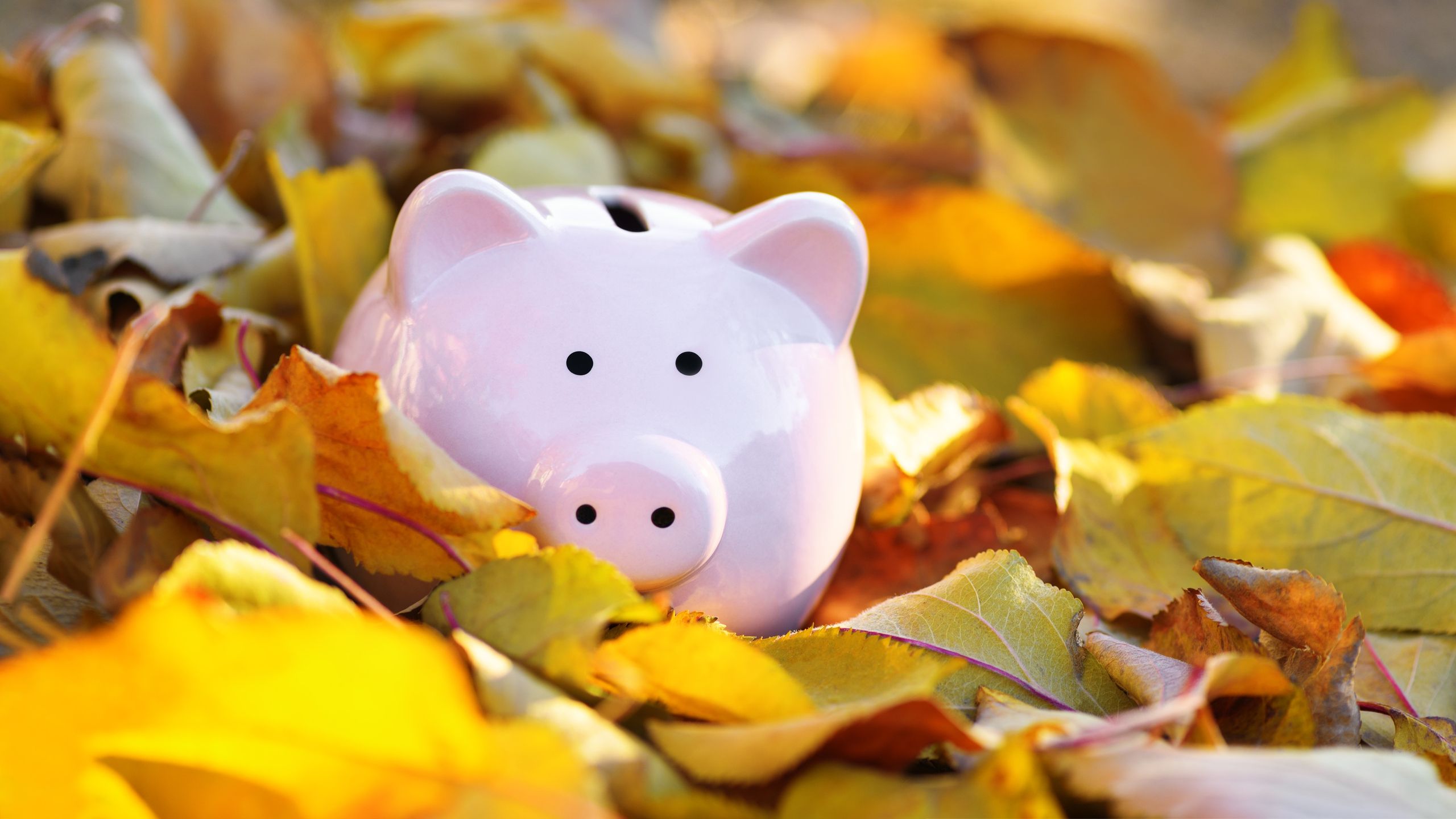 4 Strategic Steps for Tax-Loss Harvesting in 2026
